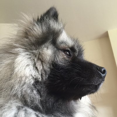 Profile Picture of Chris Bayliss (@chgbayliss) on Twitter