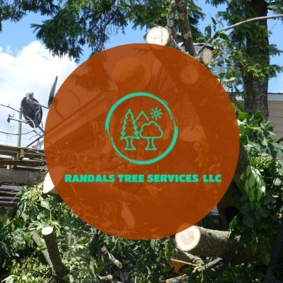 Profile Picture of Randal's Tree Service LLCon Twitter