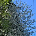 Profile Picture of danielle (@wander__crust) on Instagram