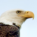 Profile Picture of Jim Clifford (@jtcjr_2006) on Flickr