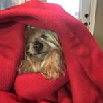 Profile Picture of Chasity Raymond (@chassraymond22) on Instagram