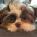 Profile Picture of JoEllen Laughlin (@joellen.laughlin) on Facebook
