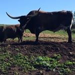 Profile Picture of Dave Berger (@berger9617) on Instagram