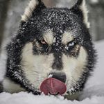 Profile Picture of miguel david morfin montes (@migueldavidmorfin) on Instagram