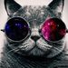 Profile Picture of Neil Winslow (@mrneilwin) on Pinterest