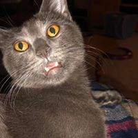 Profile Picture of Amanda Sell (@amanda-sell-2) on Quora