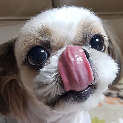 Profile Picture of SAWOR (@sawor68) on Twitter