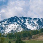 Profile Picture of Bargrove (@bargroveshea) on Instagram