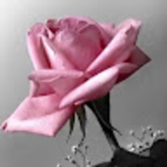 Profile Picture of Nabila biila (@chouikanabila) on Poshmark