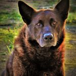 Profile Picture of danika james (@danikajames72) on Instagram