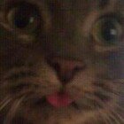 Profile Picture of Doug Lewandowski (@doug7677) on Instagram