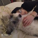 Profile Picture of Buddy Budweiser the parsons (@buddy_budweiser_the_parsons) on Instagram