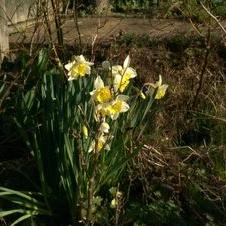 Profile Picture of Paul Rogers (@c3r3al_kill3r) on Twitter