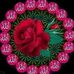 Profile Picture of Naseem Choudhary (@naseem.choudhary.3914) on Facebook