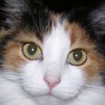 Profile Picture of Carole Labbé (@carole.labbe.980) on Instagram