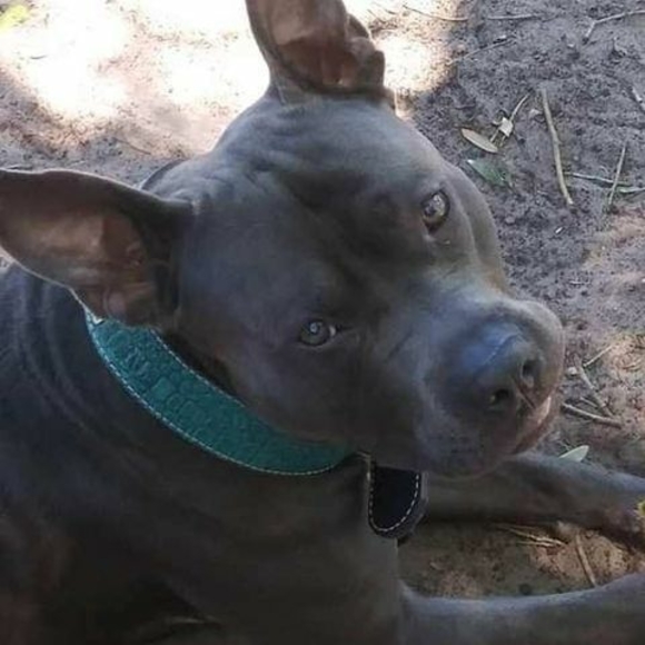 Profile Picture of Frances Fleming (@franfleming41) on Poshmark