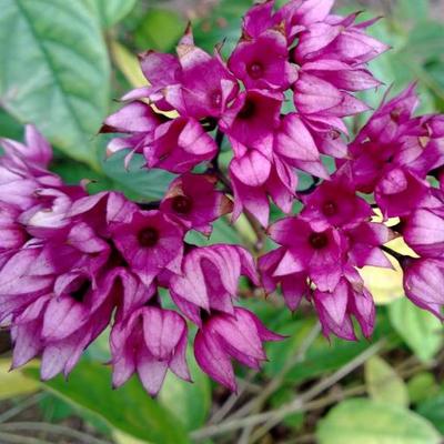 Profile Picture of Dick Lui (@dick_lui) on Twitter