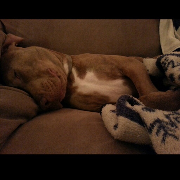 Profile Picture of Andie Cook (@andie_cook14) on Poshmark