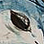 Andre.clouatre - Flickr Profile Picture of Andre.clouatre (@andre.clouatre) on Flickr