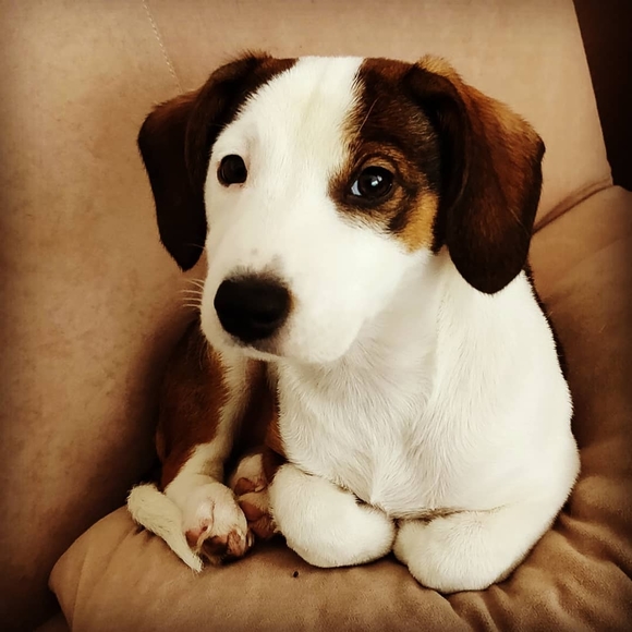 Zeljko Camber - Poshmark Profile Picture of Zeljko Camber (@zekamrcna) on Poshmark