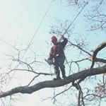 Profile Picture of William Conroy (@william.conroy.10) on Instagram