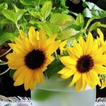 Profile Picture of Mary Joyce Blake Eakins (@blakeeakins) on Instagram