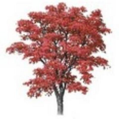 Profile Picture of Bruce Resnick (@bresni12) on Twitter