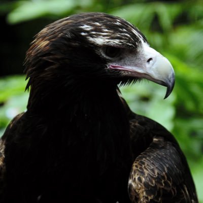 Profile Picture of PeterScanlon (@PeterScanlon12) on Twitter