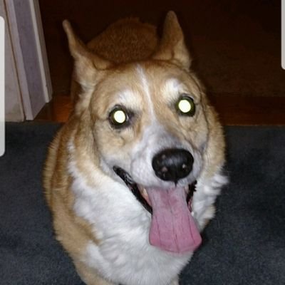 Profile Picture of Kim Kramer (@KimKram01224608) on Twitter