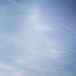 Profile Picture of Eric Smalls (@eric_smalls_420) on Instagram