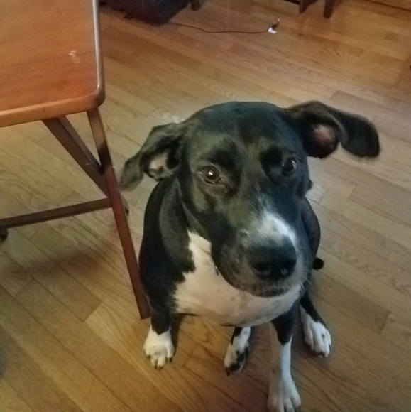 Profile Picture of Sharon Branstetter (@gretchensmom) on Poshmark