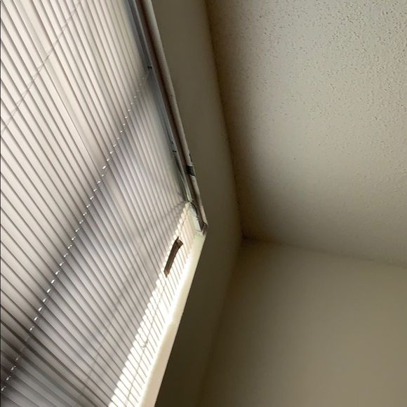 Profile Picture of Argyll Salceda (@argyllsalceda) on Poshmark