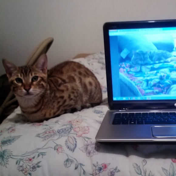 Profile Picture of Maureen Higgins (@maureen_higgins) on Poshmark