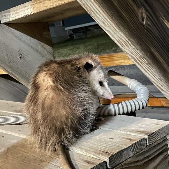 Profile Picture of Bill Powers (@adz822_) on Poshmark