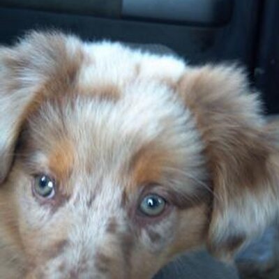 Profile Picture of Kim Cade (@kcade) on Twitter