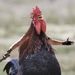 Profile Picture of NATHANIEL WOODS (@nathaniel3486) on Pinterest