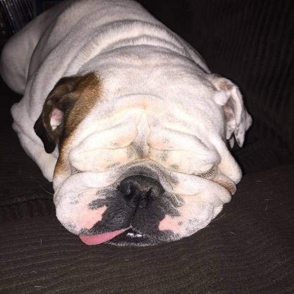 Profile Picture of Lisa Heiges (@1985allin) on Poshmark