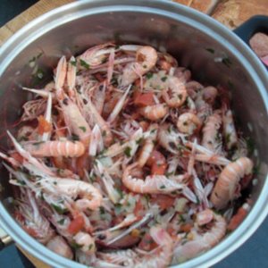 Profile Picture of Chris Snowdon (@TheChrisSnowdon) on Twitter