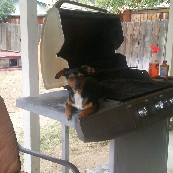 Profile Picture of Jeanne Slocum (@jeanne_2) on Poshmark