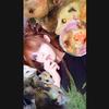 Profile Picture of Paige Heller (@@ggoatdammit) on Tiktok