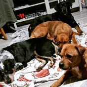 Profile Picture of Amanda Jackson (@amandajackson7961) on Youtube