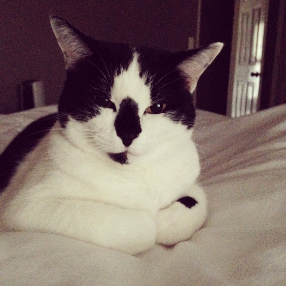 Profile Picture of Heather Demyan (@hdemyan) on Poshmark