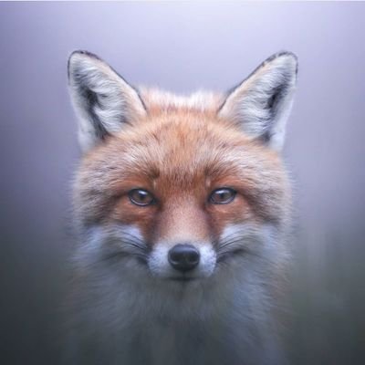Profile Picture of Barlok (@navarone10) on Twitter