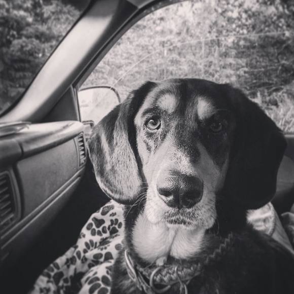 Profile Picture of Marly Schmidtke (@marlyschmidtke) on Poshmark