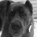 Profile Picture of Jeff Atkinson (@jeff.atkinson.5036) on Facebook