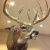 Profile Picture of Danny Ross (@dcross1962) on Pinterest