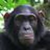 Profile Picture of Matt Luce (@Matt Luce) on Flickr