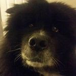 Profile Picture of Daniel Misch (@misch.daniel) on Instagram