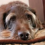 Profile Picture of Thomas Friedel (@thomas.friedel.775) on Facebook