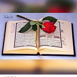 Profile Picture of Nadjet Ikhlef (@ikhlefnadjet) on Flickr